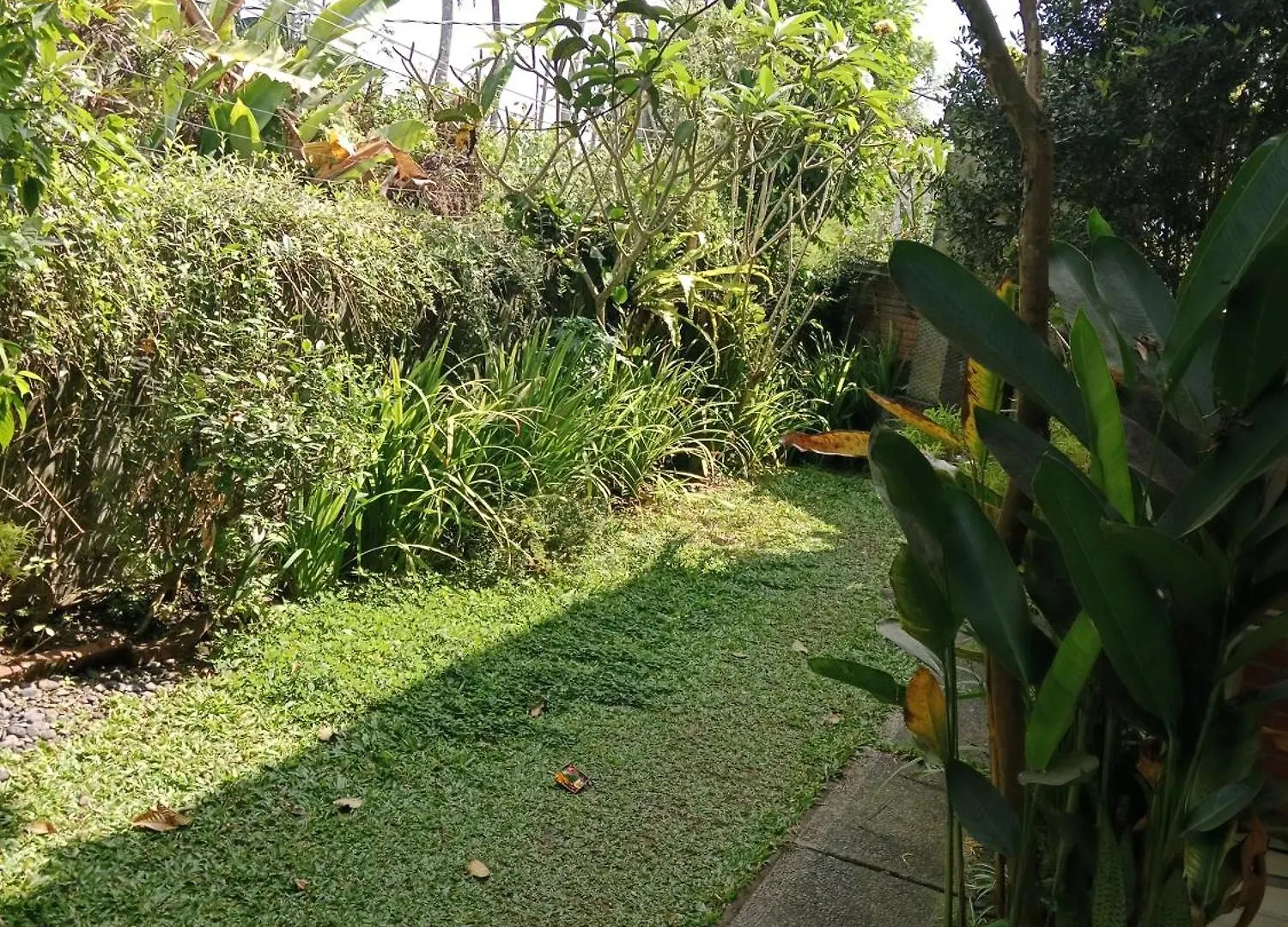 Sunrise Coconut House Hotell Ubud