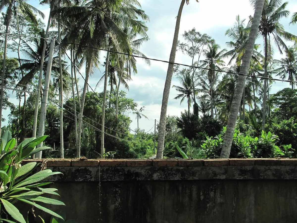 Pensionat Sunrise Coconut House Hotell Ubud